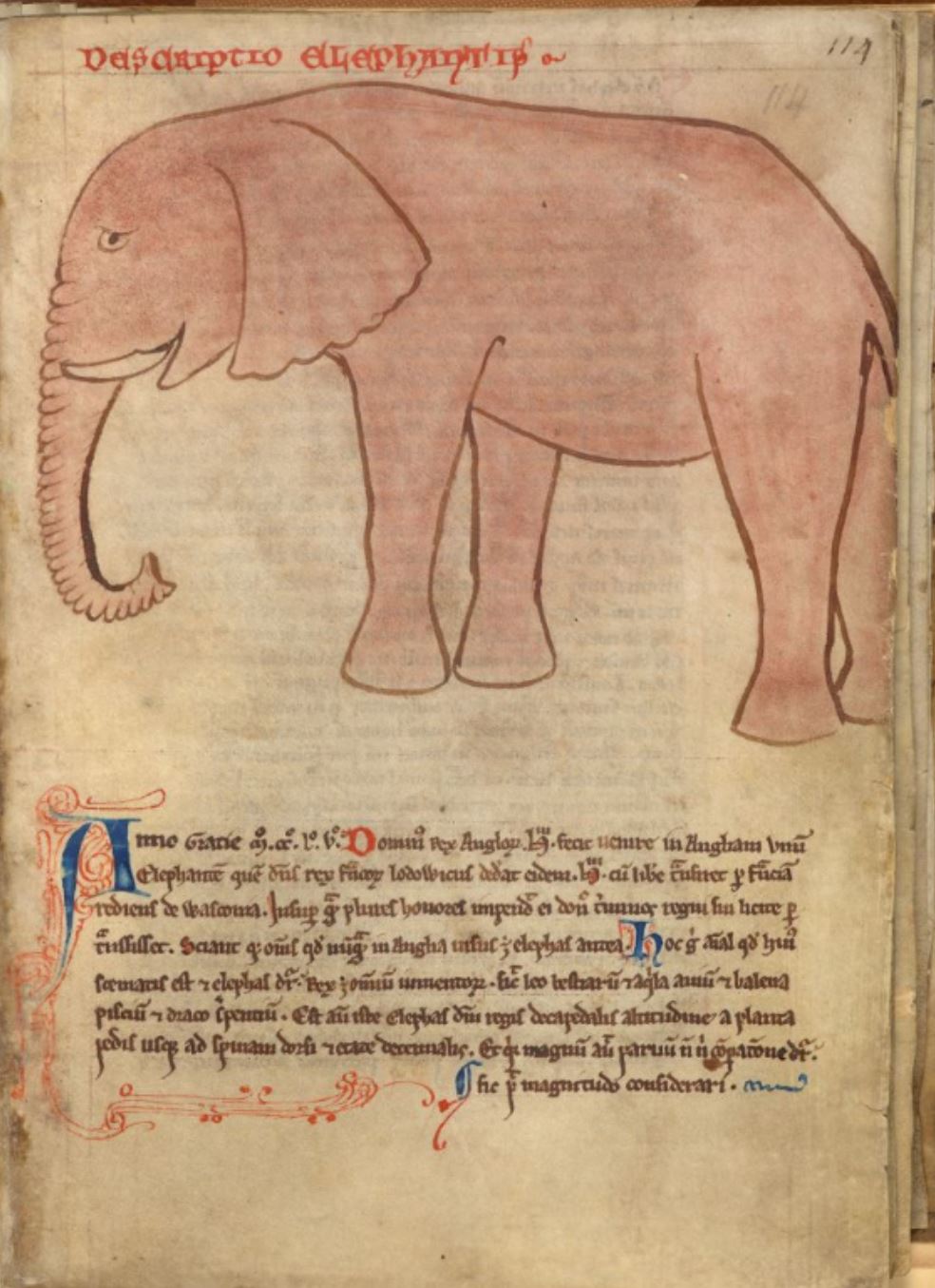 Sample page - British Library Cotton MS Julius D VII