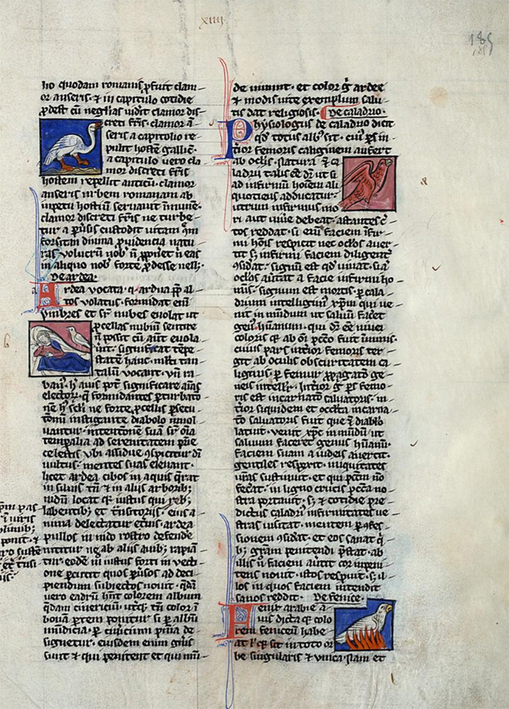 Sample page - Bibliothèque Municipale de Valenciennes MS 101