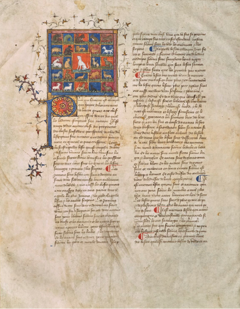 Sample page - Bibliothèque Nationale de France fr. 16993