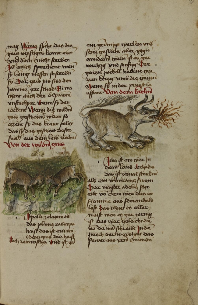 Sample page - Bibliothèque Nationale et Universitaire de Strasbourg Ms.2.264