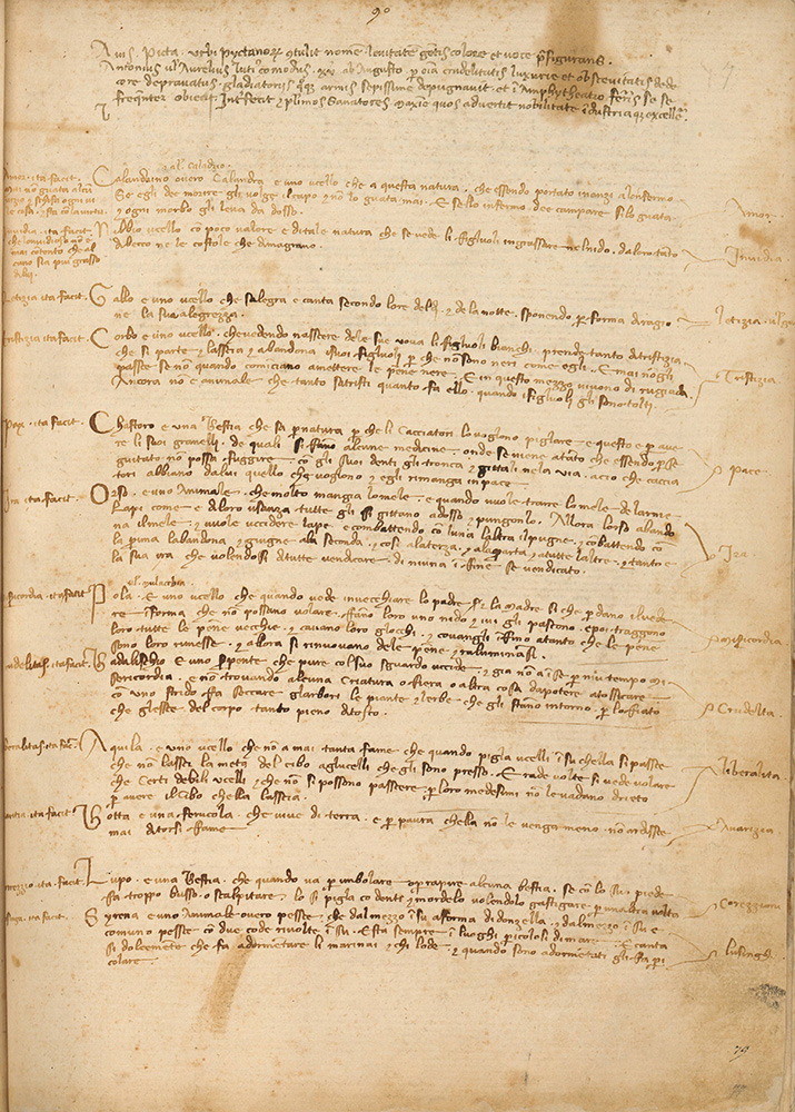 Sample page - Biblioteca Medicea Laurenziana Ashb.574