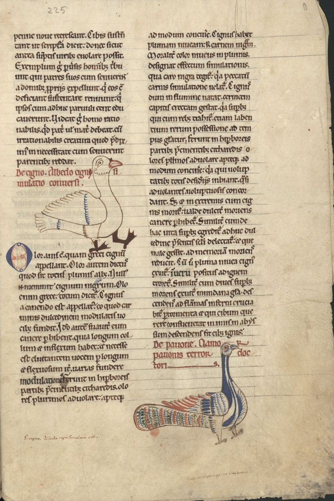 Sample page - Biblioteca Nacional de Portugal ALC. 238