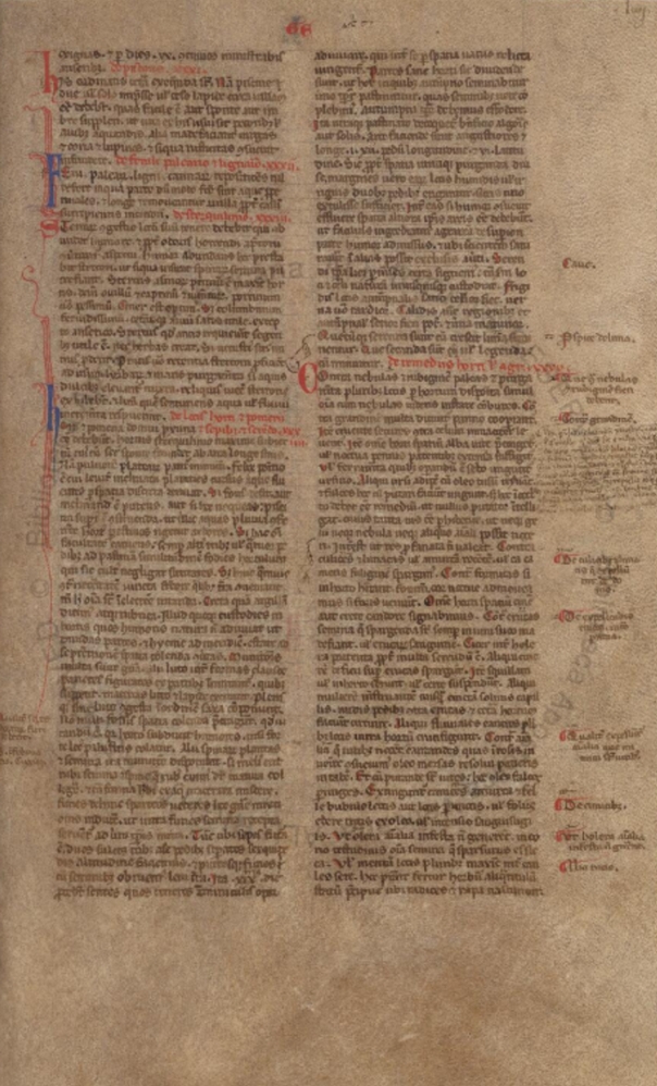 Sample page - Biblioteca Apostolica Vaticana Vat.lat.993