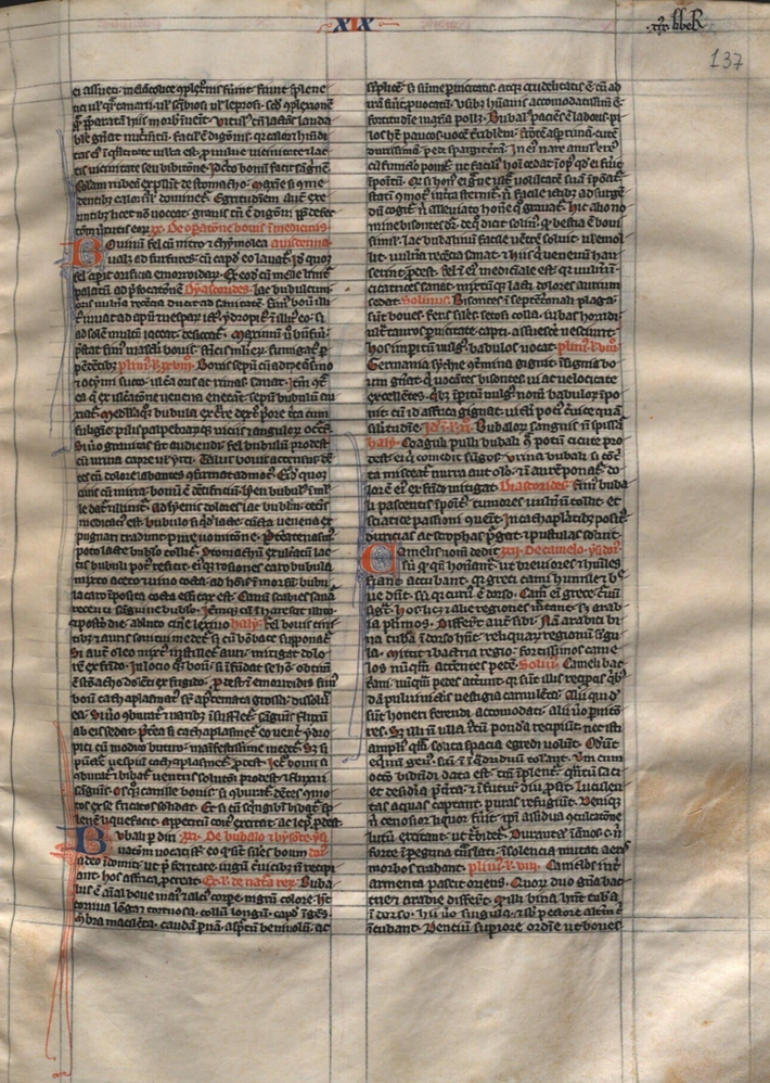 Sample page - Biblioteca Nacional de Portugal IL. 130