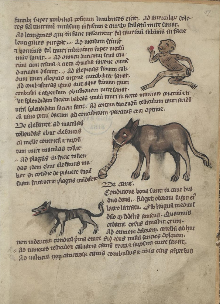 Sample page - Universiteitsbibliotheek Leiden BPL 1283