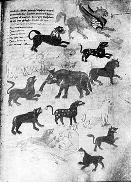 Sample page - Archivo dell'Abbazia ms 132