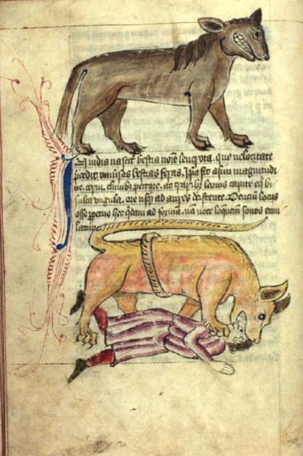 Sample page - Kongelige Bibliotek GKS 1633 4° (Bestiary of Anne Walshe)