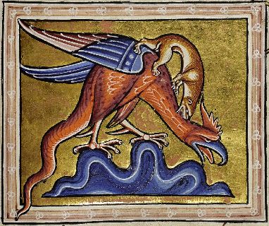 Basilisk attacked by a weasel