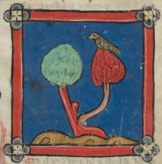 Turtledove perched in red tree