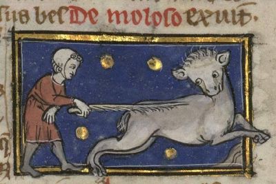 Large molosus being beaten by a child