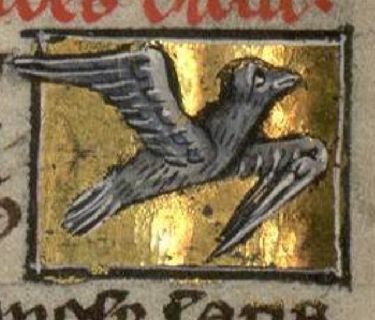 Stymphalis as a flying grey bird