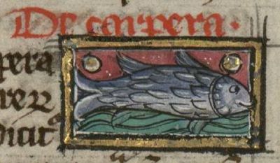 Carp as a generic blue fish