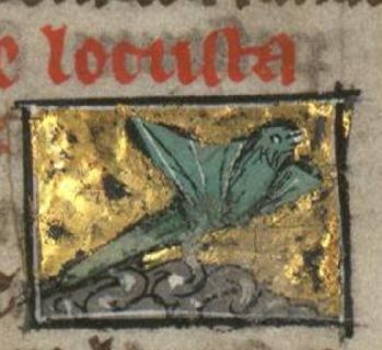 Locust flying, looking like a bird