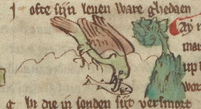 Catarrhactes diving for fish