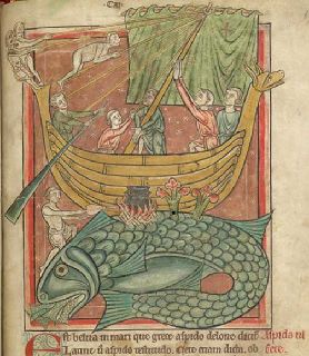 Whale mistaken for an island